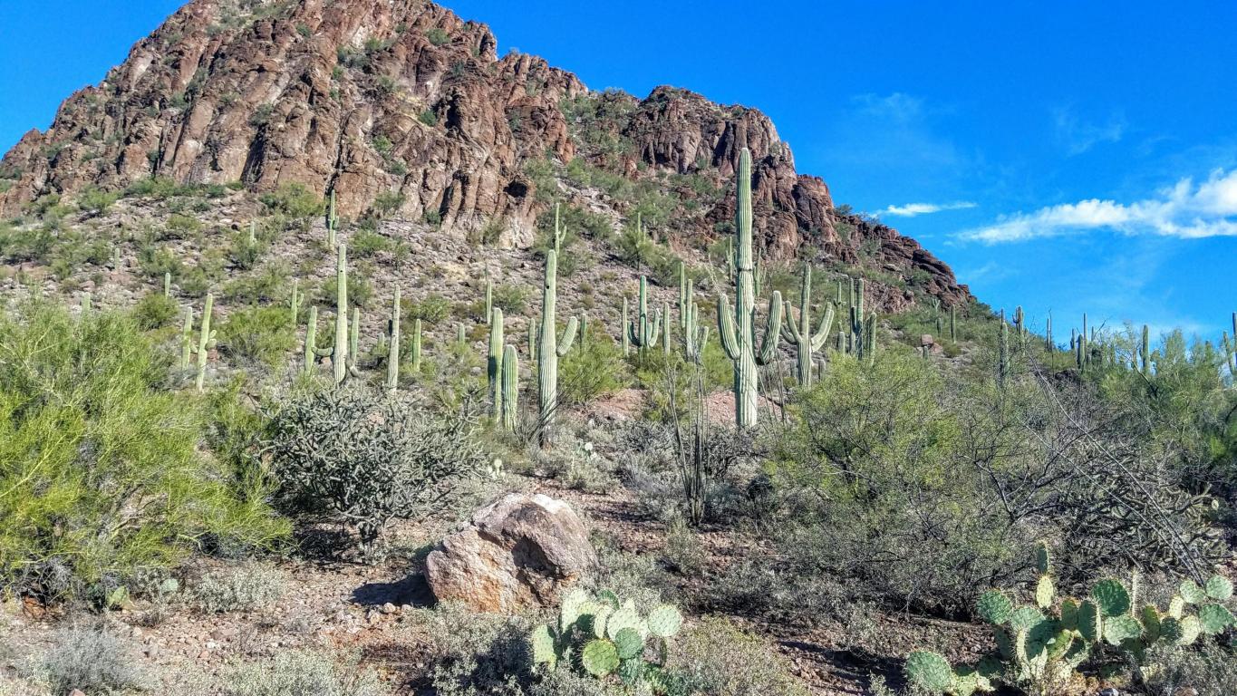 4785 W Nebraska, Tucson, AZ 85757