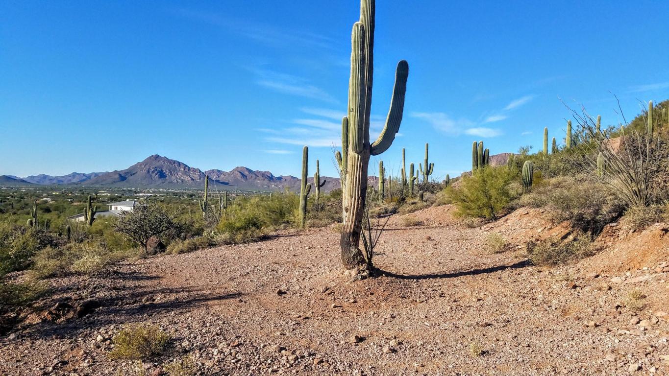 4785 W Nebraska, Tucson, AZ 85757