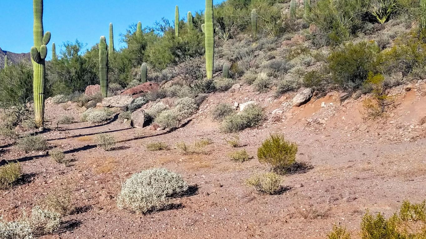 4795 W Nebraska, Tucson, AZ 85757