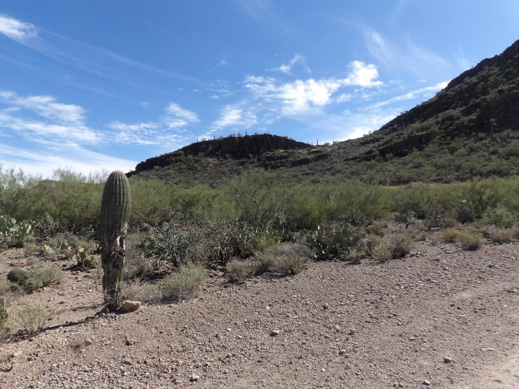 4735 W Nebraska, Tucson, AZ 85757
