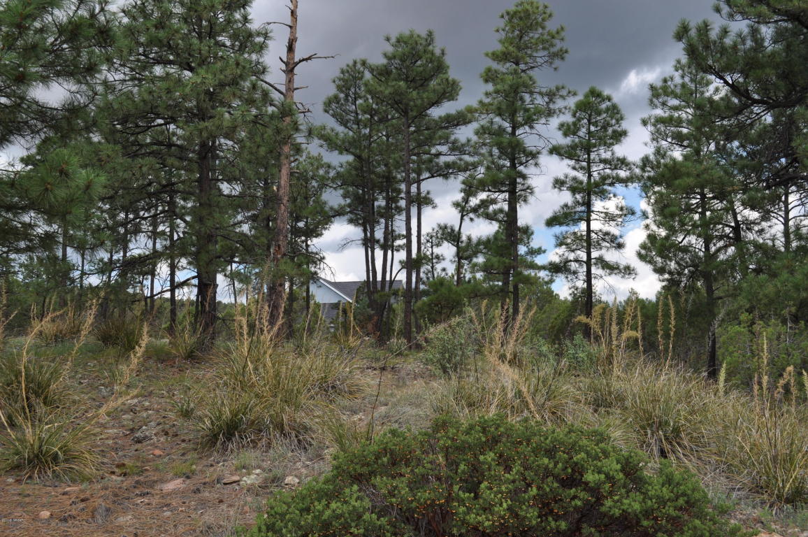 6859 RIM ROCK Road, Linden, AZ 85901