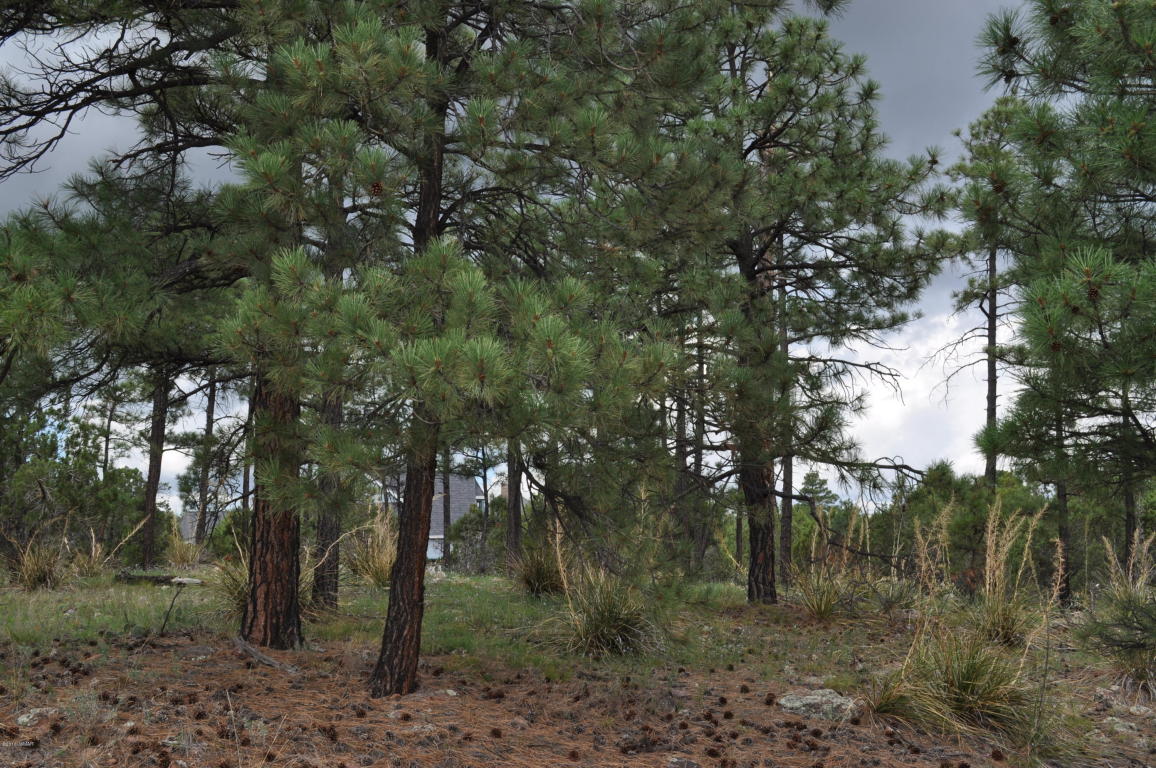 6859 RIM ROCK Road, Linden, AZ 85901
