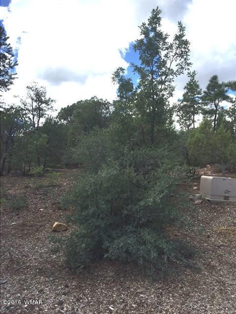 800 E PINE OAKS Drive, Show Low, AZ 85901