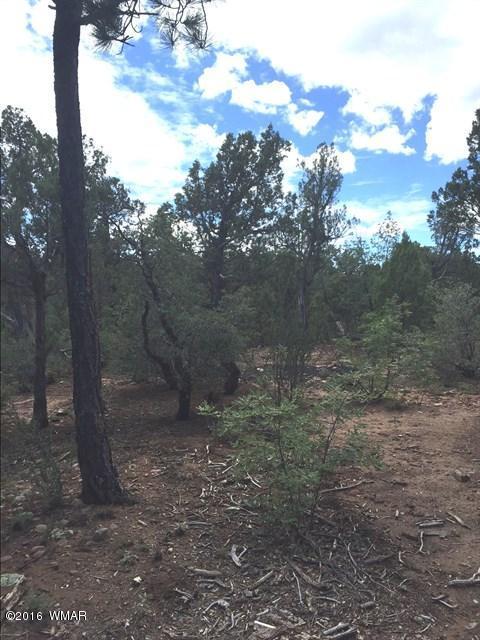 800 E PINE OAKS Drive, Show Low, AZ 85901