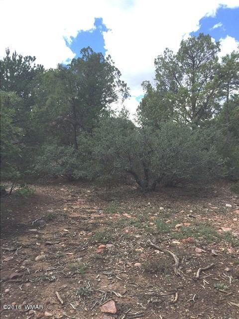 800 E PINE OAKS Drive, Show Low, AZ 85901