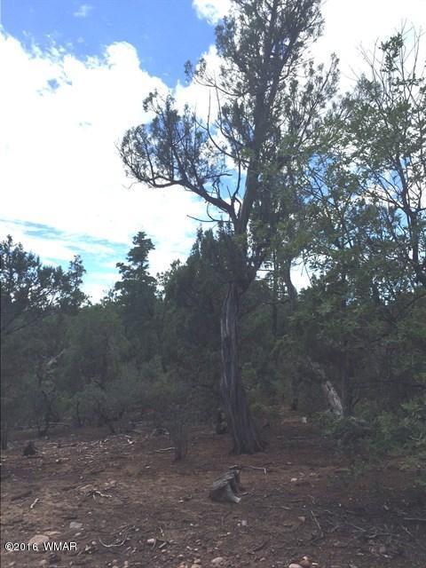 800 E PINE OAKS Drive, Show Low, AZ 85901