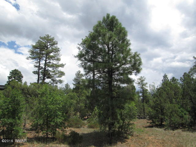 1151 S Falling Leaf Road, Show Low, AZ 85901