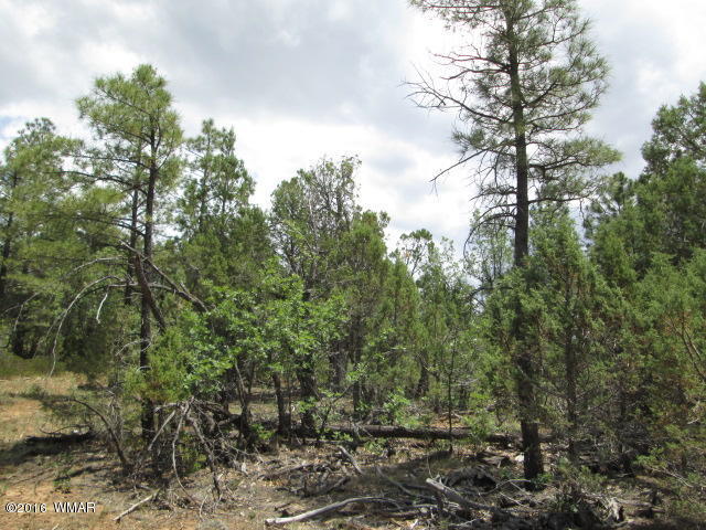 1151 S Falling Leaf Road, Show Low, AZ 85901