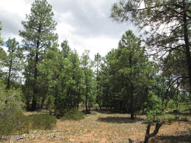 1151 S Falling Leaf Road, Show Low, AZ 85901
