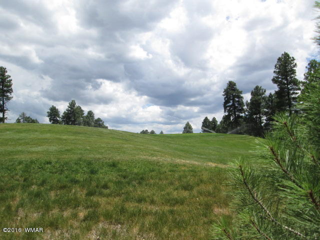 1151 S Falling Leaf Road, Show Low, AZ 85901