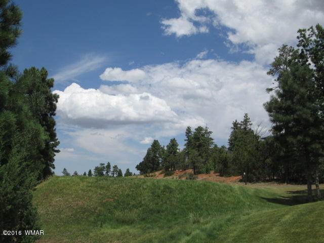 1151 S Falling Leaf Road, Show Low, AZ 85901