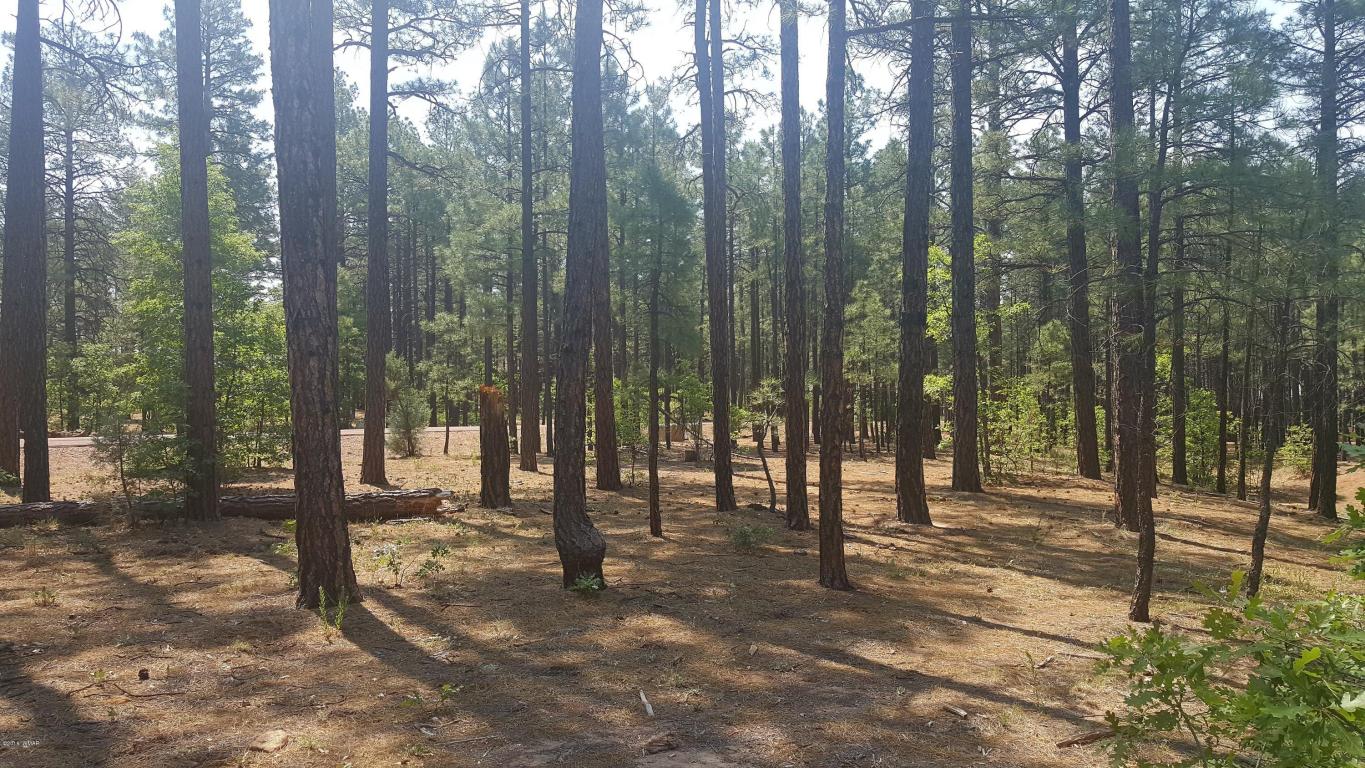 1440 S BRISTLE CONE Drive, Show Low, AZ 85901