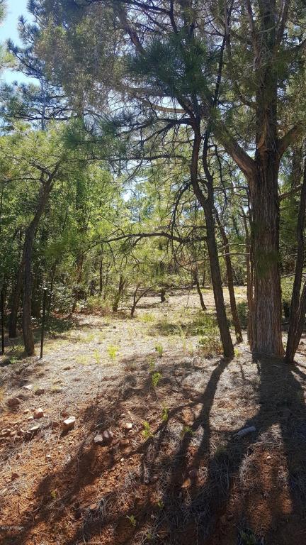 1930 S ALPINE Drive, Show Low, AZ 85901