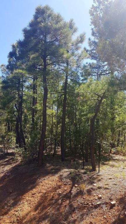 1930 S ALPINE Drive, Show Low, AZ 85901