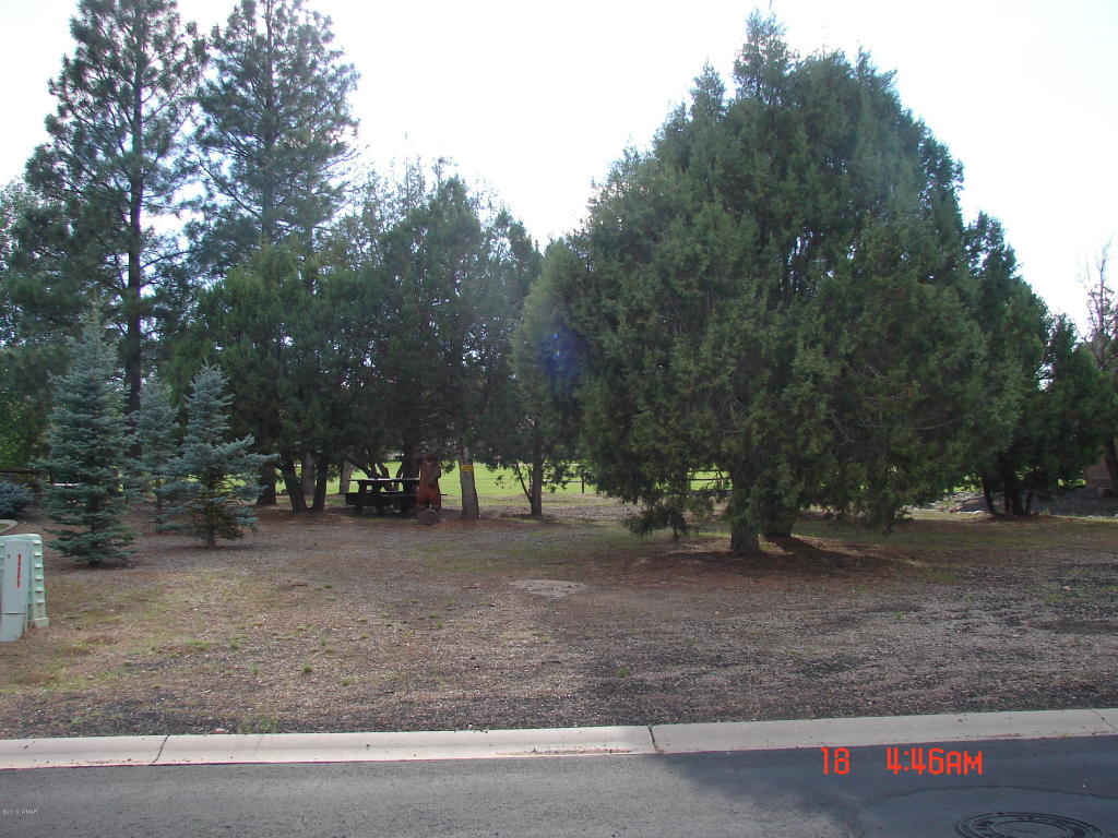 1020 N Bison Golf Court, Show Low, AZ 85901