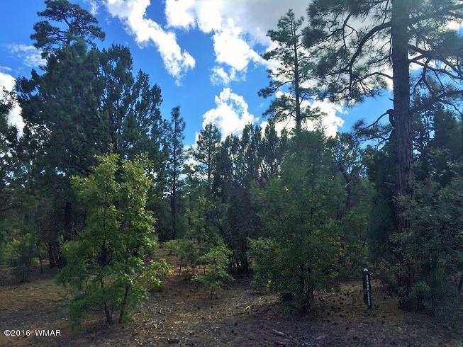 4281 W Falling Leaf Road, Show Low, AZ 85901