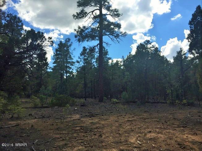 4281 W Falling Leaf Road, Show Low, AZ 85901
