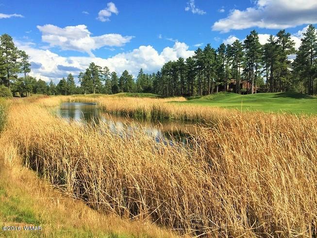 4281 W Falling Leaf Road, Show Low, AZ 85901