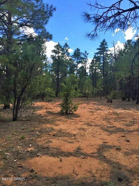 4281 W Falling Leaf Road, Show Low, AZ 85901