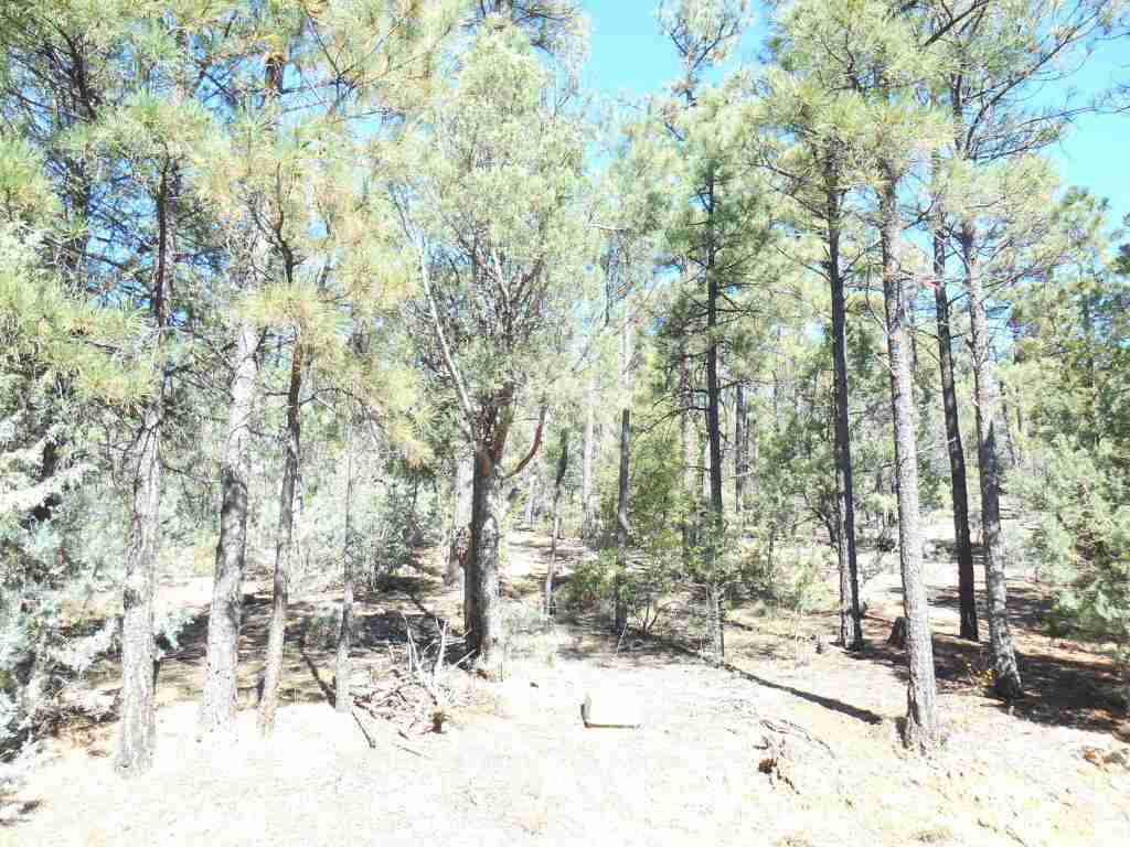 1401 E Pine oaksDr., Show Low, AZ 85901
