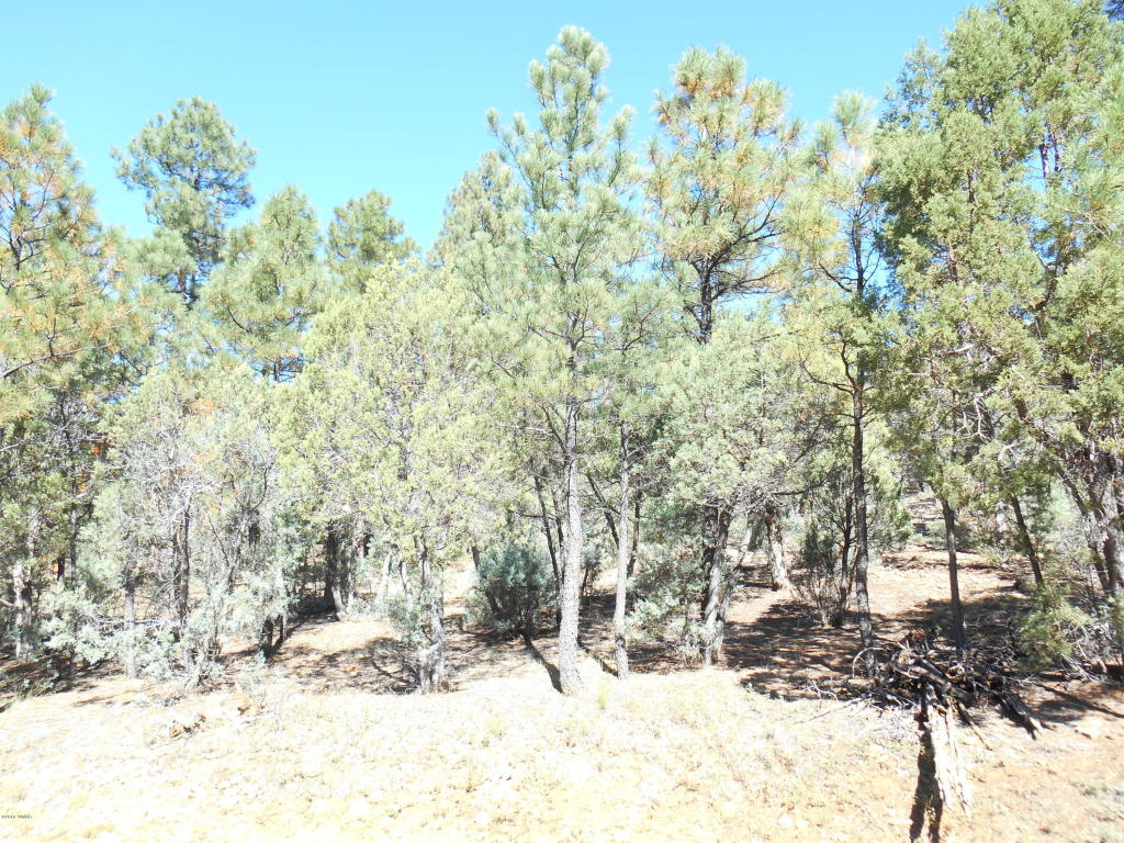 1401 E Pine oaksDr., Show Low, AZ 85901