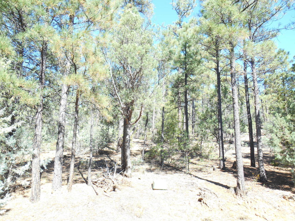 1401 E Pine oaksDr., Show Low, AZ 85901