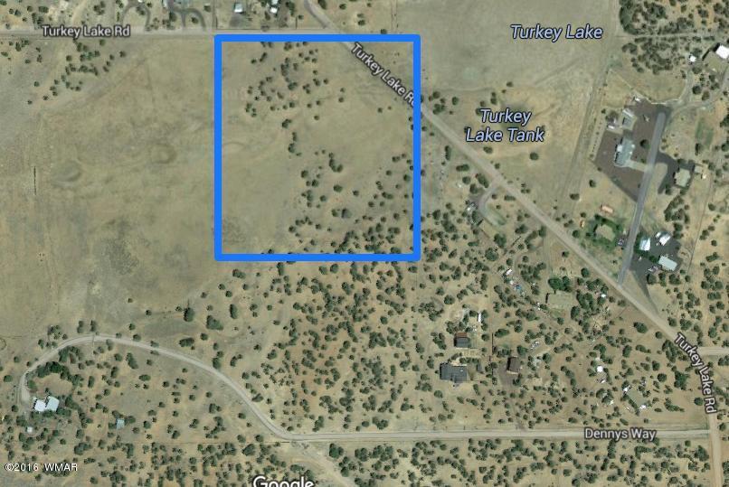 5 or 10 ac TURKEY LAKE Road, Show Low, AZ 85901