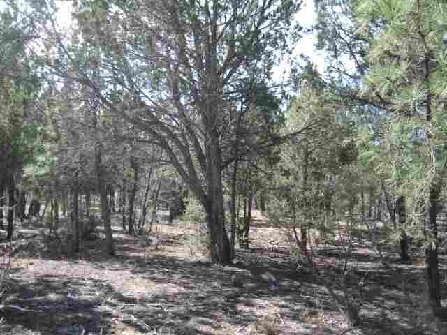 Lot 309 Rendezvous 3, Show Low, AZ 85901