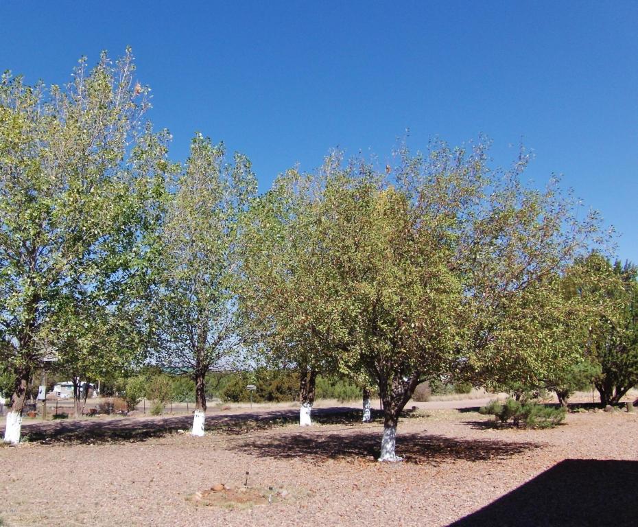 1785 Cox Drive, Show Low, AZ 85901