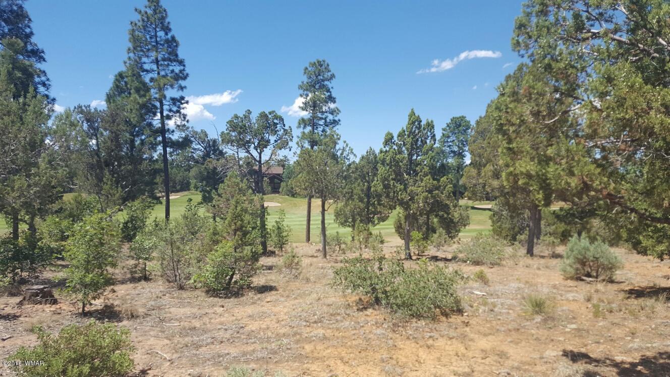 4161 W HAWTHORN Road, Show Low, AZ 85901
