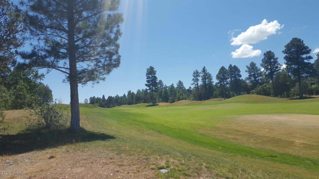 4161 W HAWTHORN Road, Show Low, AZ 85901
