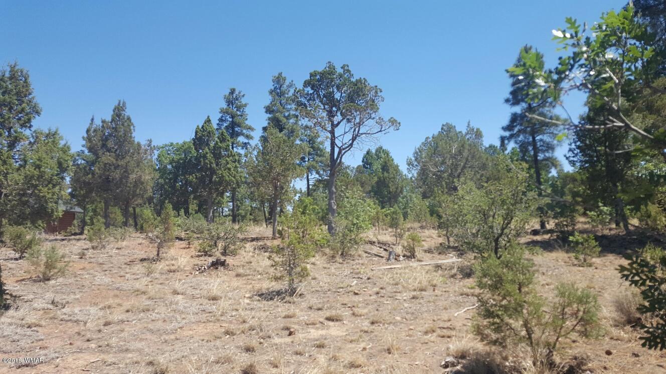 4161 W HAWTHORN Road, Show Low, AZ 85901