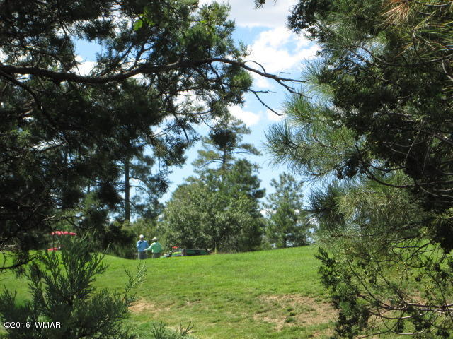 4170 W Sugar Pine Loop, Show Low, AZ 85901