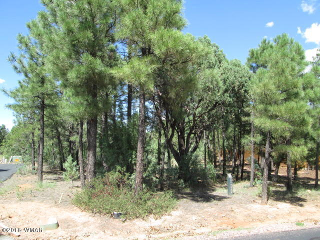 4170 W Sugar Pine Loop, Show Low, AZ 85901