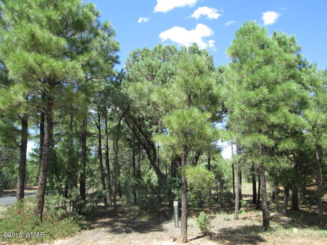 4170 W Sugar Pine Loop, Show Low, AZ 85901