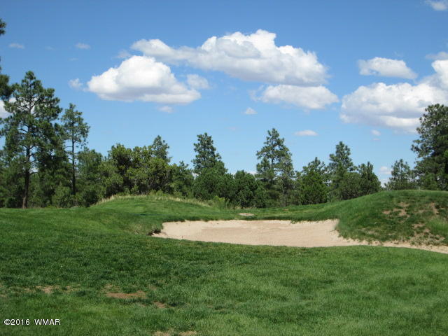 4170 W Sugar Pine Loop, Show Low, AZ 85901