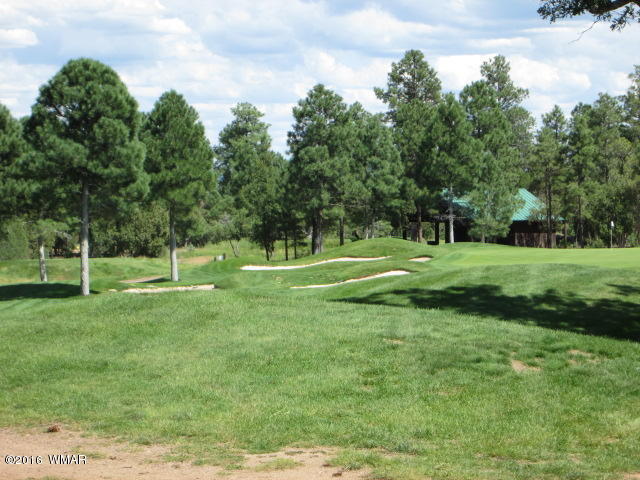 4170 W Sugar Pine Loop, Show Low, AZ 85901
