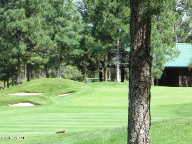 4170 W Sugar Pine Loop, Show Low, AZ 85901