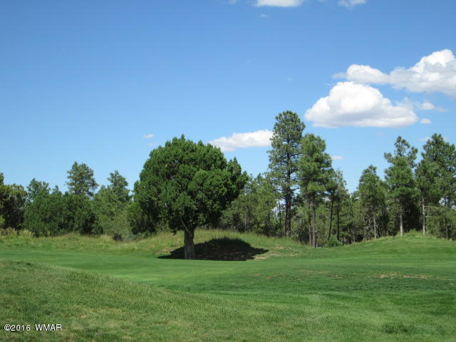 4170 W Sugar Pine Loop, Show Low, AZ 85901