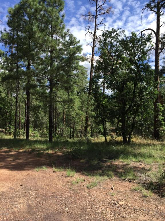 TBD SIESTA Lane, Show Low, AZ 85901