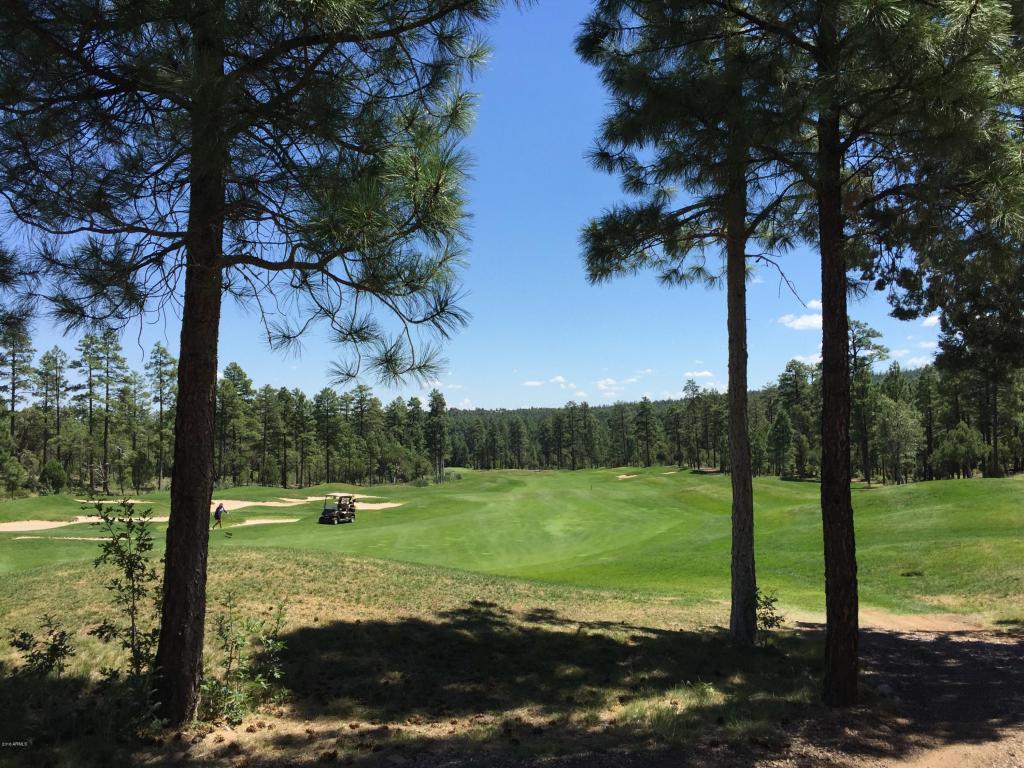 2100 S BIRCH Lane, Show Low, AZ 85901