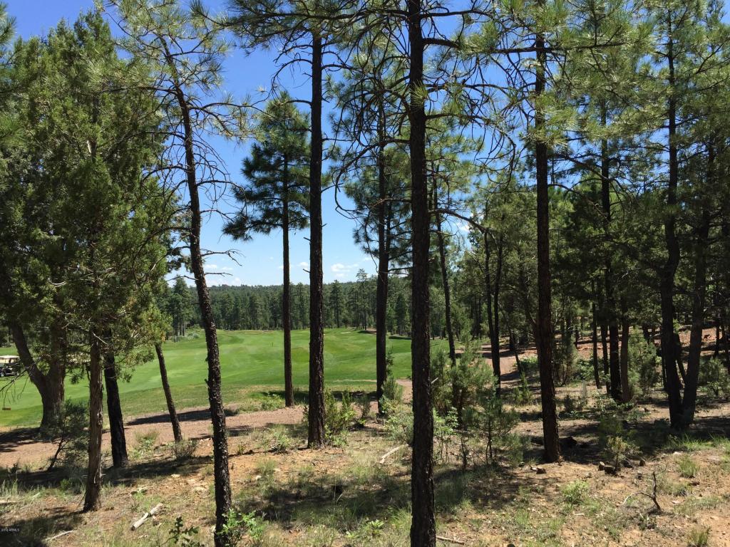 2100 S BIRCH Lane, Show Low, AZ 85901