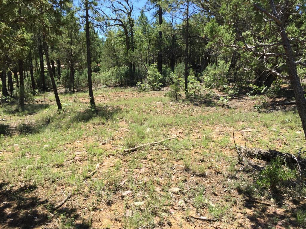 2100 S BIRCH Lane, Show Low, AZ 85901