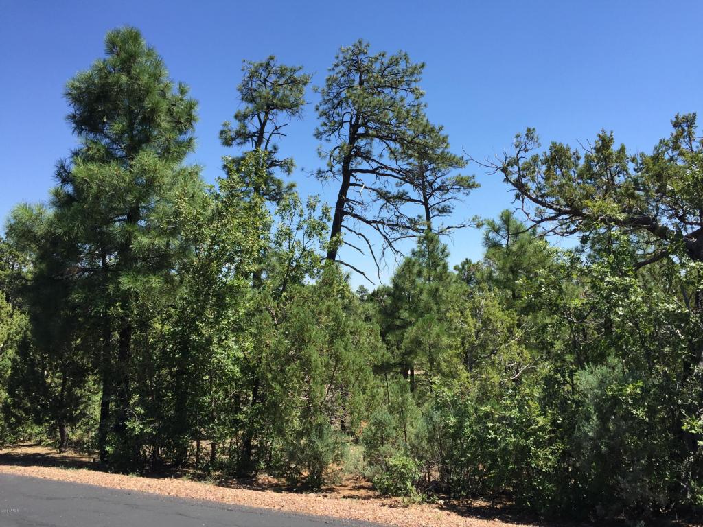 2100 S BIRCH Lane, Show Low, AZ 85901
