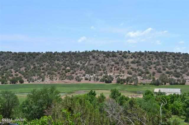 2730 OLD SCHOOL HOUSE Road, Shumway, AZ 85901