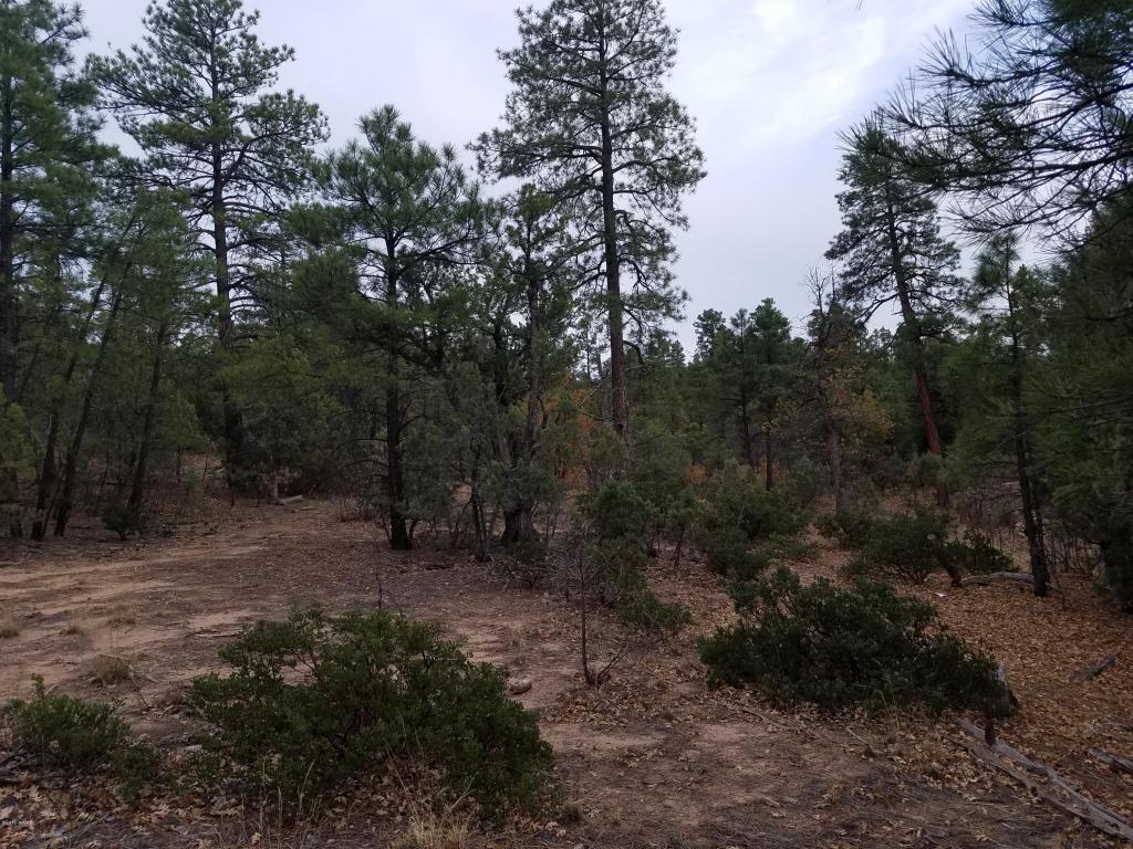 3421 REDBUD Lane, Show Low, AZ 85901