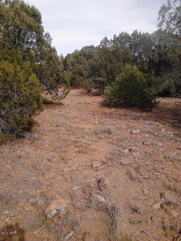6862 ARROWHEAD HILL Drive, Show Low, AZ 85901