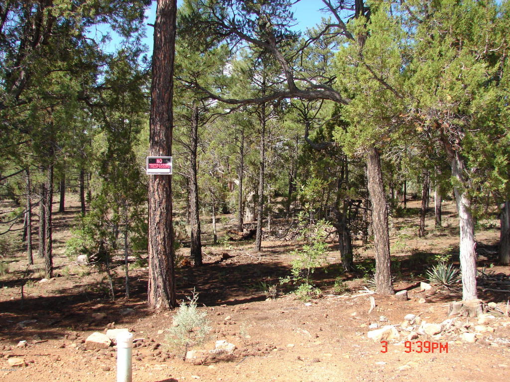 1540 N Stagecoach Circle, Show Low, AZ 85901