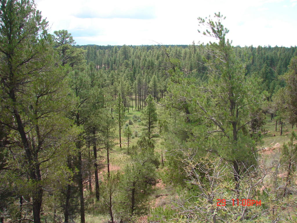 1540 N Stagecoach Circle, Show Low, AZ 85901