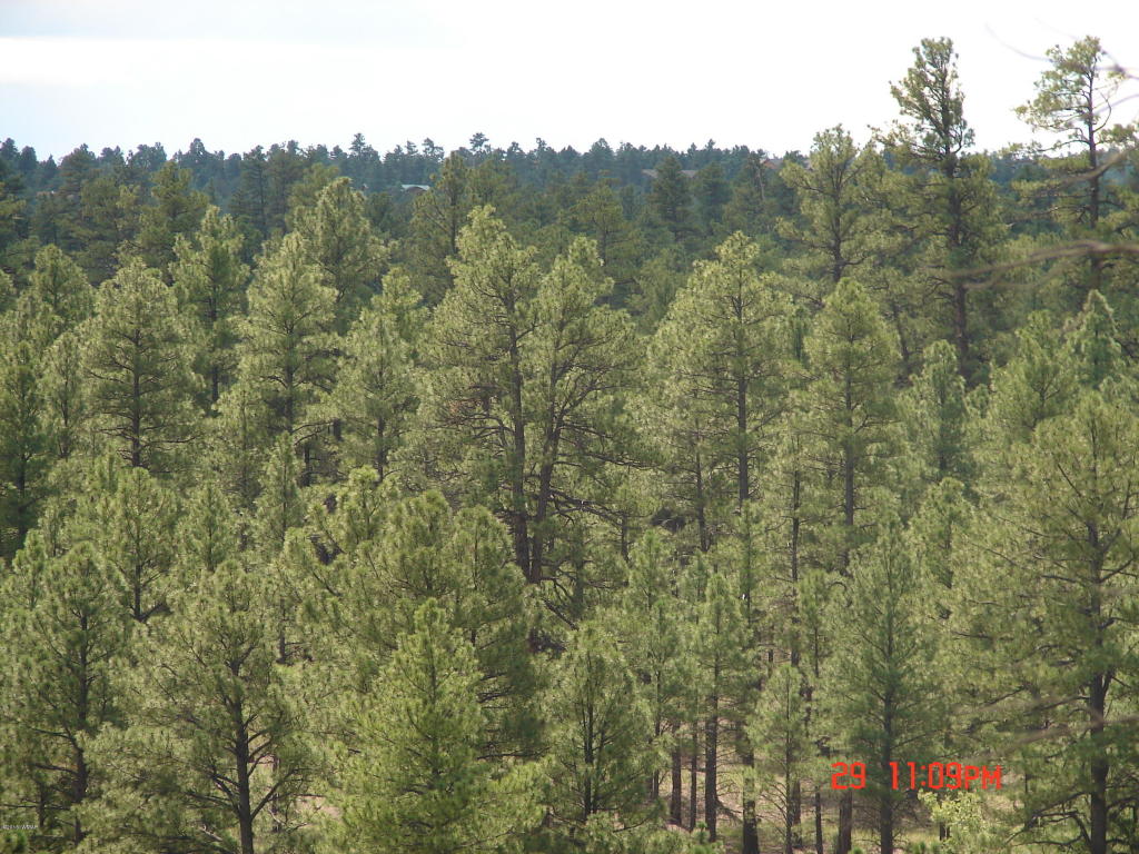 1540 N Stagecoach Circle, Show Low, AZ 85901